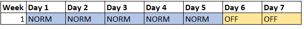 Figure 1: Case 1 - Period Work Schedule