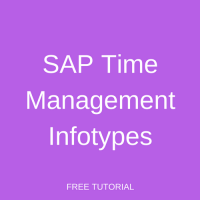 SAP Time Management Infotypes