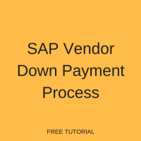 SAP Vendor Down Payment Process