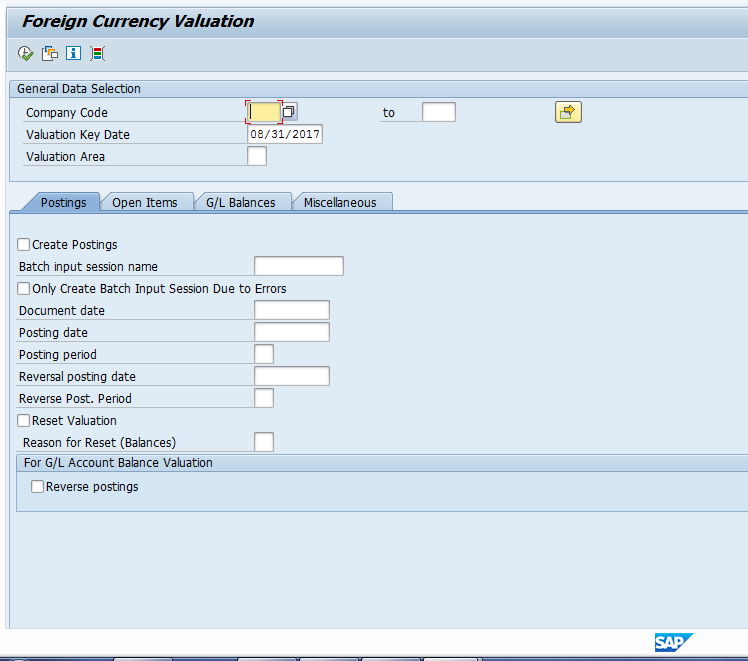 SAP FI Foreign Currency Revaluation Program