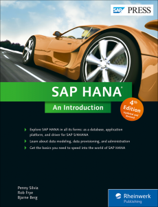 SAP HANA An Introduction