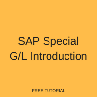 SAP Special G/L Introduction
