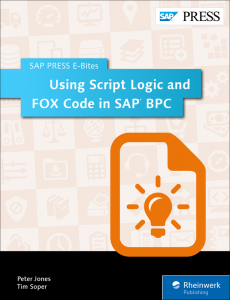 Using Script Logic and FOX Code in SAP BPC