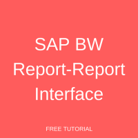 SAP BW Report-Report Interface