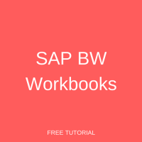 SAP BW Workbooks