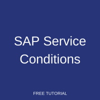SAP Service Conditions