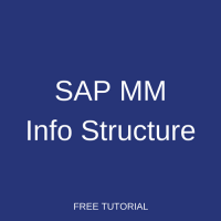 SAP MM Info Structure