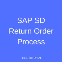 SAP SD Return Order Process