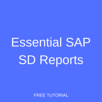 Essential SAP SD Reports