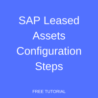 SAP Leased Assets Configuration Steps