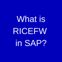 What is RICEFW in SAP?