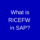 What is RICEFW in SAP?