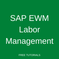 SAP EWM Labor Management