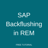 SAP Backflushing in REM
