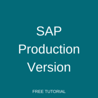 SAP Production Version