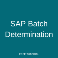 SAP Batch Determination